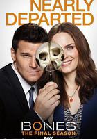 識骨尋蹤 第十二季線上看