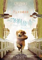 一條狗的使命線上看