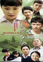 綻放吧百合線上看