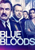 警察世家 第九季線上看