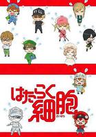 工作細胞 特典線上看