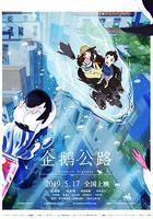 企鵝公路免費觀賞