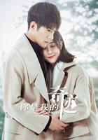 你是我的奇蹟免費觀賞