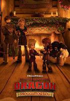 馴龍高手：親衣節日誌線上看