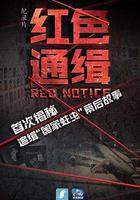 紅色通緝線上看