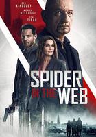 網中蜘蛛線上看