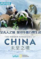 未至之境線上看