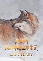 庇護所：阿爾卑斯山求生記線上看