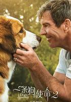 一條狗的使命2線上看