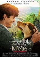 一條狗的回家路線上看