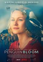 企鵝布魯姆線上看