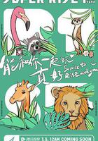 Super R1SE·周年季線上看