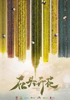 石頭開花線上看