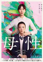 凶宅怪談線上看