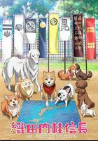 織田肉桂信長線上看