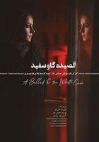 白奶牛之歌線上看