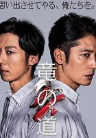 龍道 雙面復仇者線上看