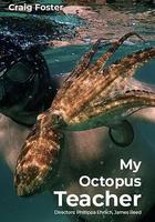 我的章魚老師線上看