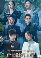 天賜的聲音 第二季線上看