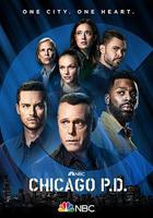 芝加哥警署 第九季線上看