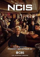 海軍罪案調查處 第十九季線上看