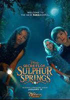 硫磺泉鎮的祕密 第二季線上看