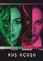 直線篡位線上看