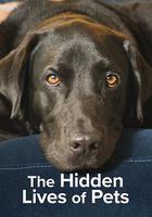 寵物的祕密生活線上看