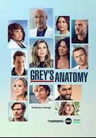 實習醫生格蕾 第十九季線上看