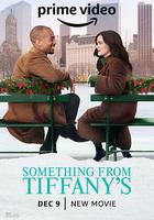 蒂芙尼的禮物線上看