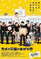 烏龜的殼其實是肋骨線上看