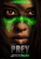 鐵血戰士：狩獵線上看