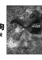 奧莉佛是狗，（天哪！！）這傢伙 續篇線上看