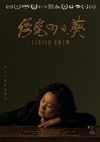 傍晚向日葵免費觀賞