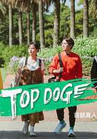 TOP DOG線上看