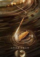 聲生不息·寶島季線上看