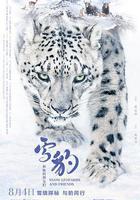 雪豹和她的朋友們免費觀賞