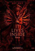 深居其中線上看