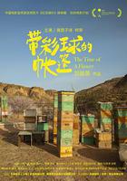 帶彩球的帳篷線上看