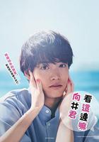 往這邊看 向井君線上看