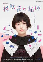 杉咲花的休工期線上看