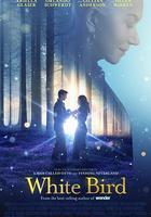 白鳥：奇蹟線上看