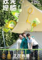 帳篷營業中線上看