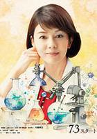 科搜研之女 第24季線上看