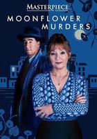 貓頭鷹謀殺案線上看