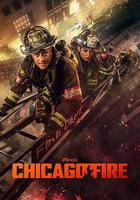 芝加哥烈焰 第十三季線上看