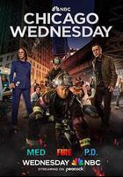 芝加哥急救 第十季線上看