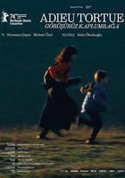 再見，烏龜免費觀賞