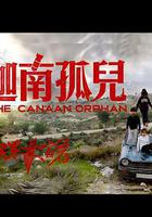 中東大寶薦2：迦南孤兒線上看