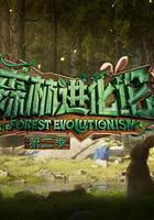 森林進化論 第二季線上看
